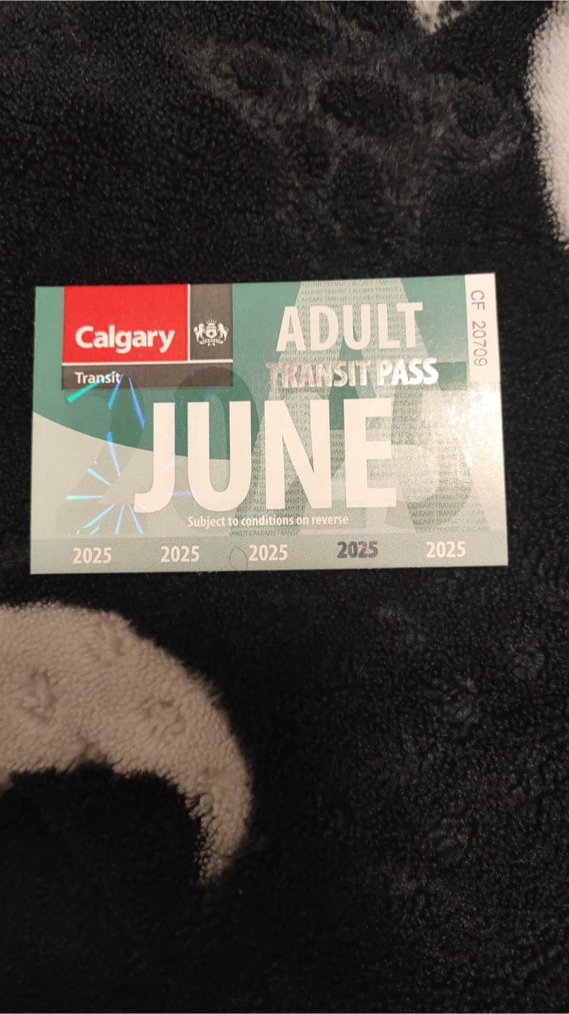 Calgary Transit Adult June 2025 Pass