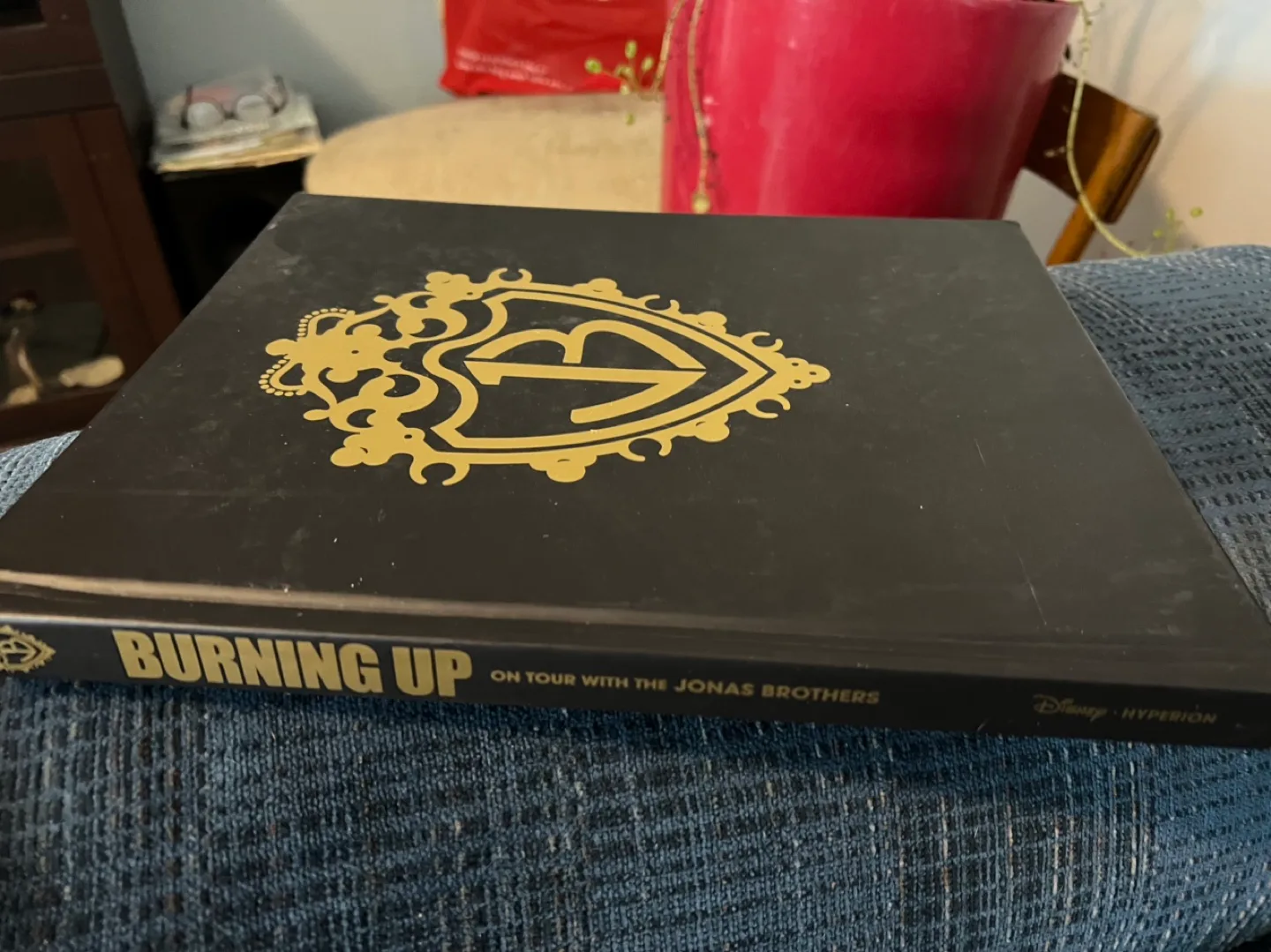 Burning Up: On Tour with the Jonas Brothers Book thumbnail