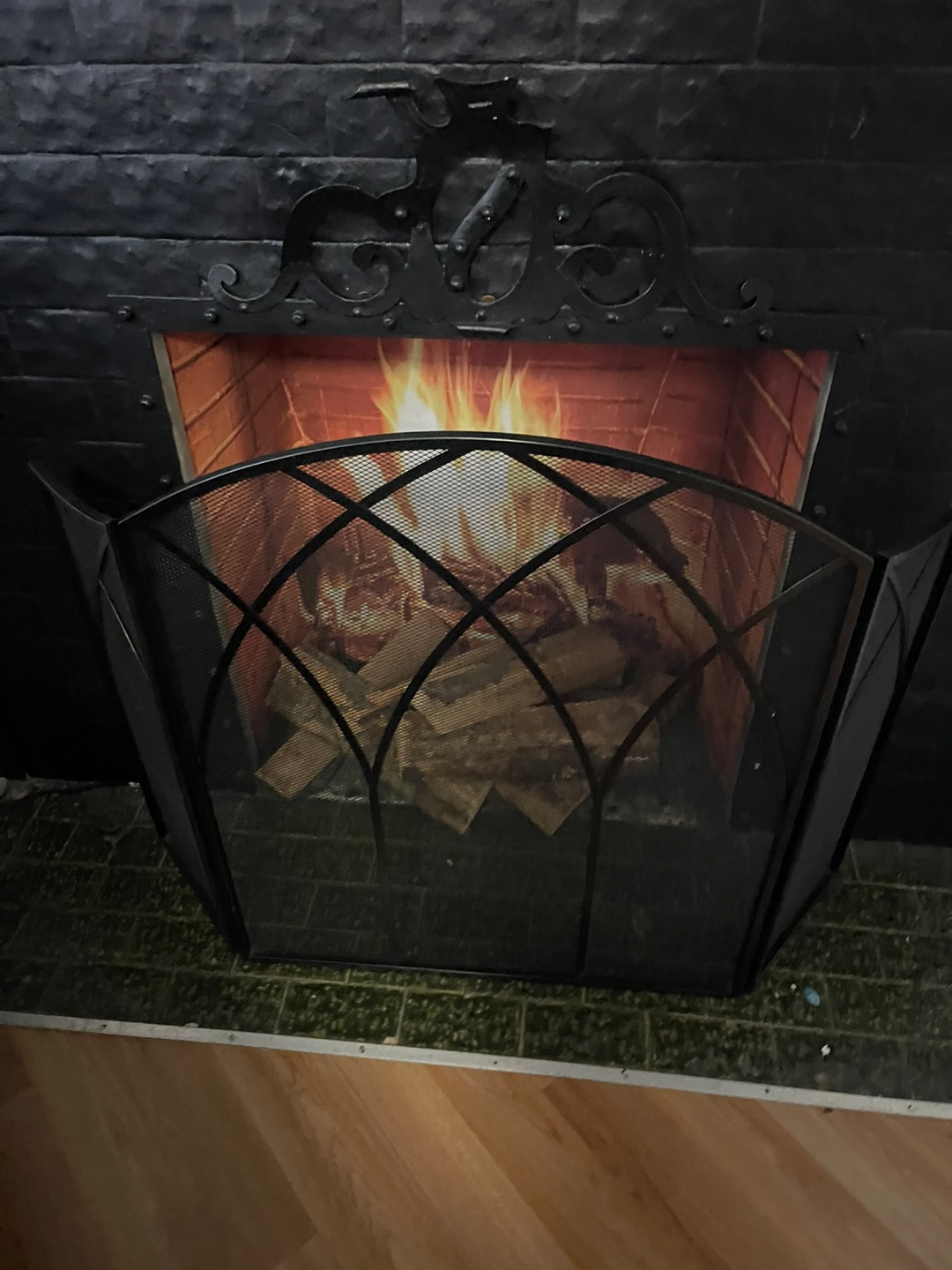 Black Fireplace Screen - photo 3