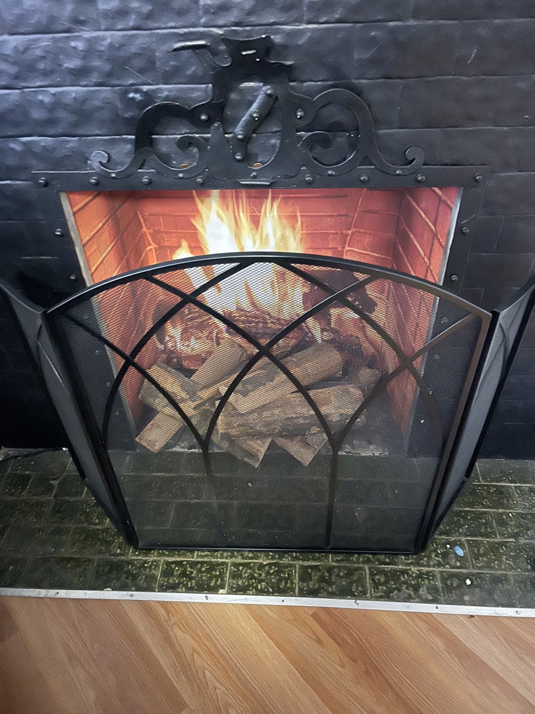 Black Fireplace Screen - photo 2