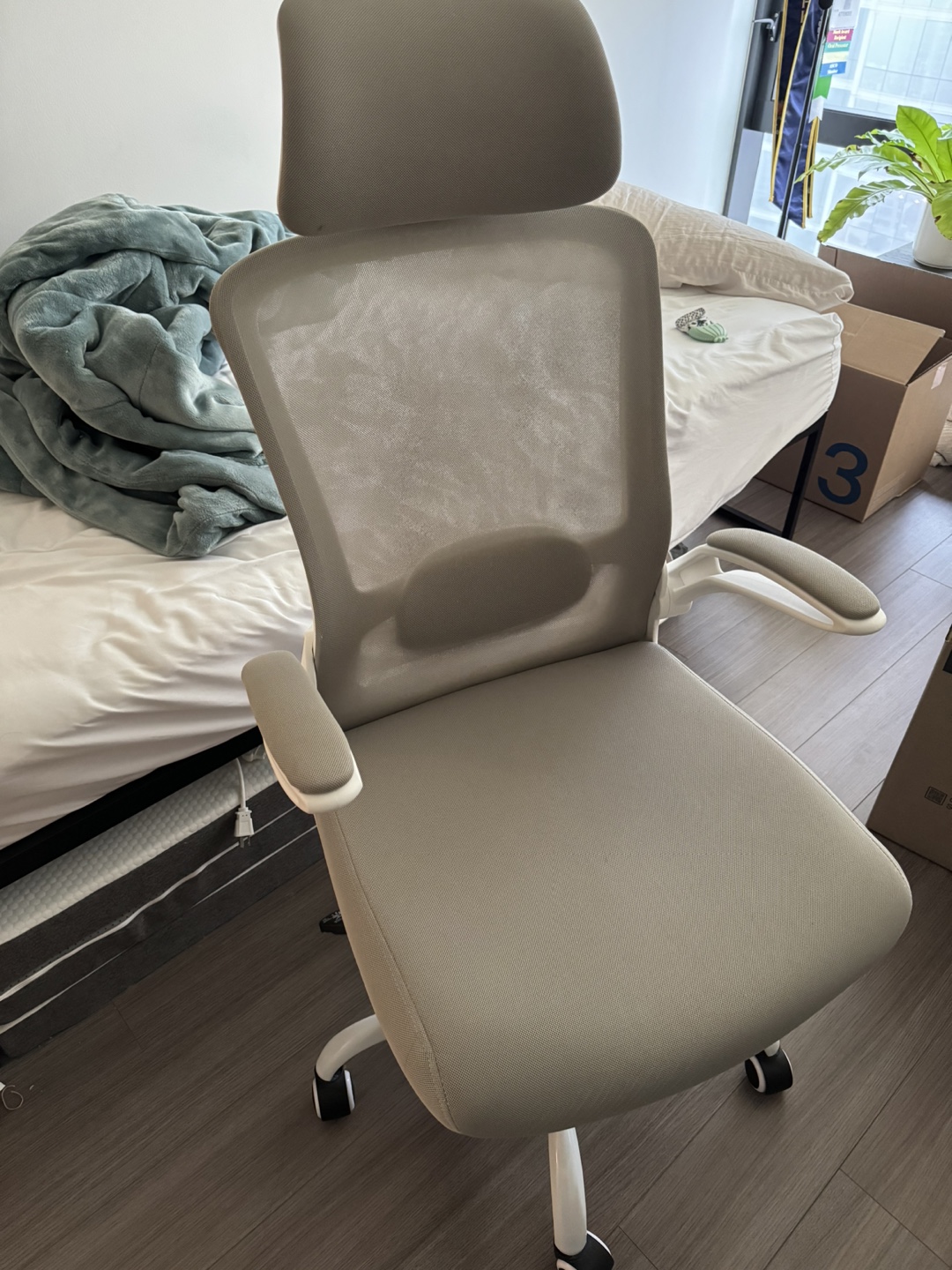Ergonomic Mesh Office Chair with Lumbar Support and Headrest