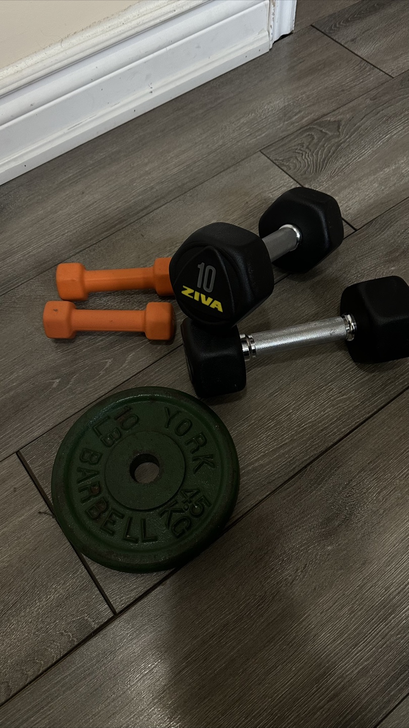 Weight Set - Dumbbells and Weight Plate