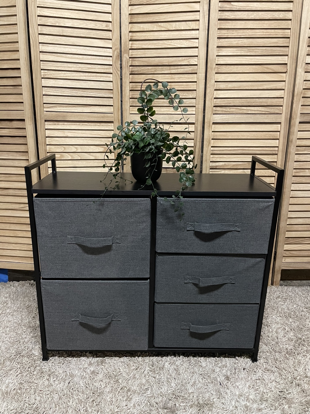 5-Drawer Storage Organizer