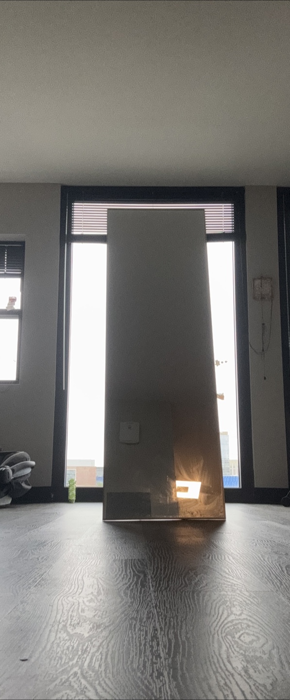 Moving out Sale—Large Modern Full Length Mirror