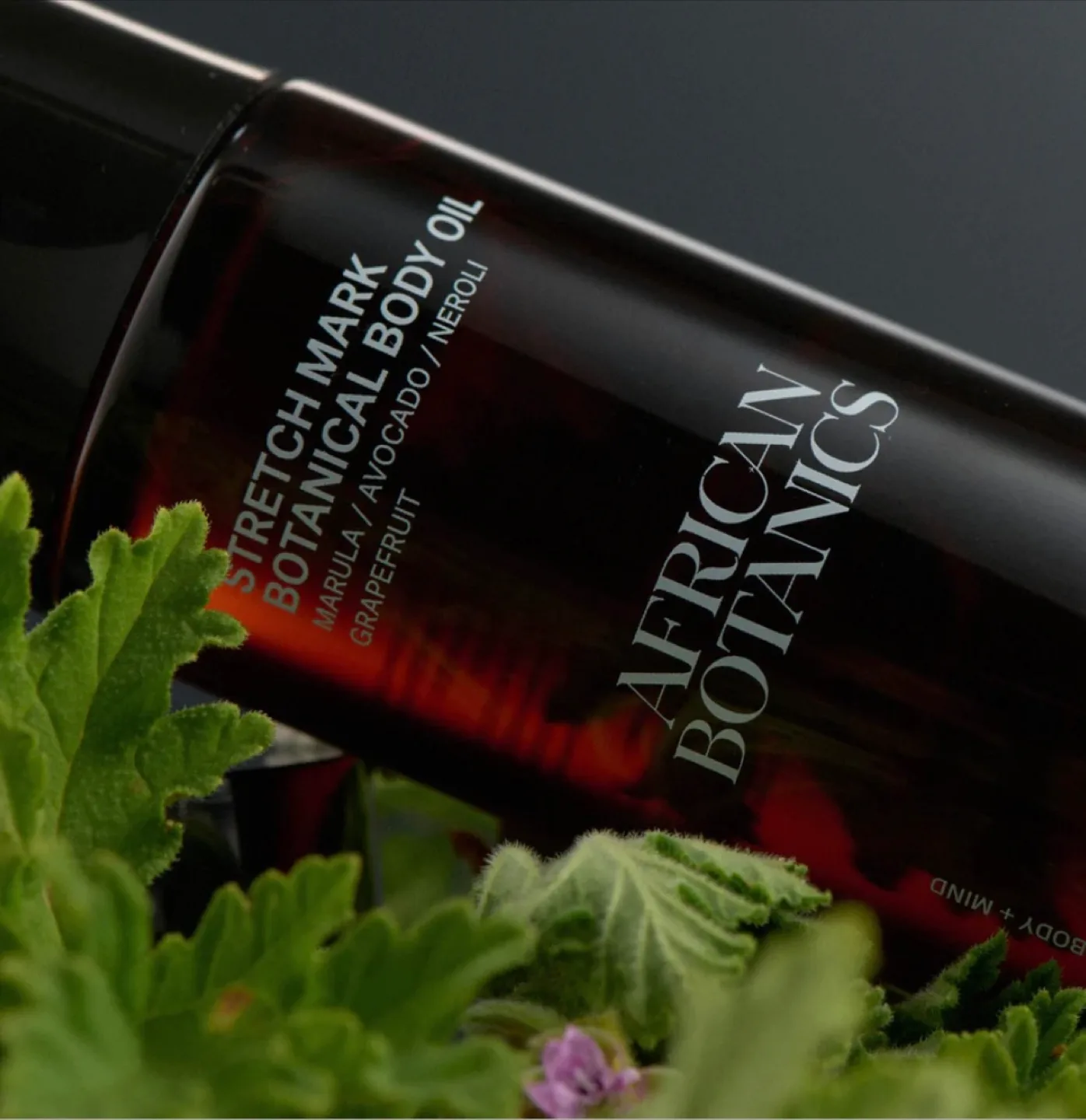 ✨✨African Botanics Stretch Mark Botanical Body Oil image indicator(3)