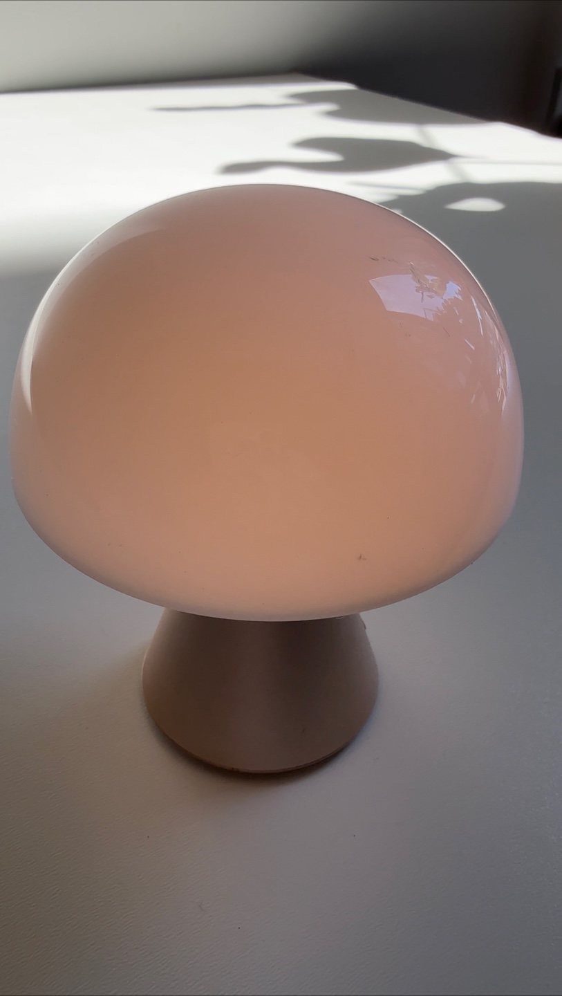 Mini Mushroom Lamp - Portable LED Nightlight - photo 3