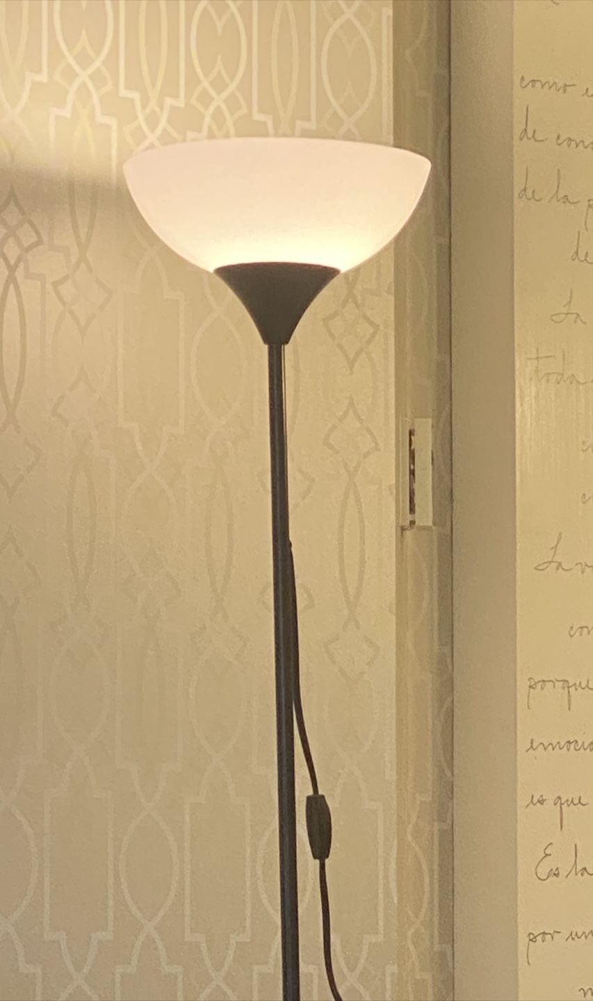 Floor Lamp, 71” black $10 P/U in Erlton