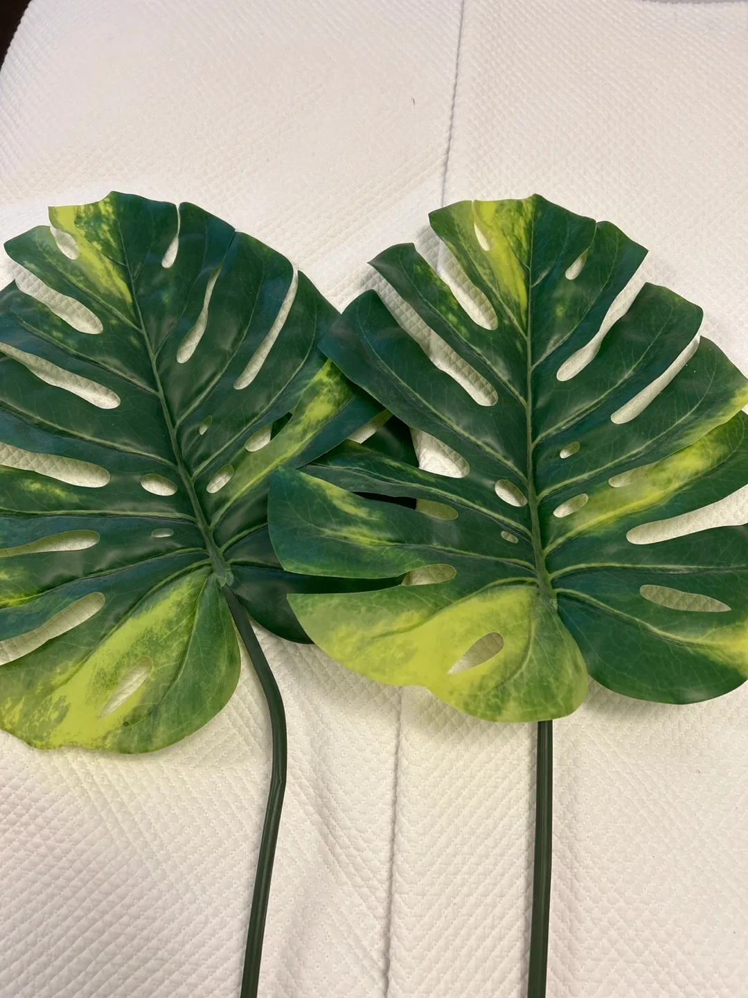 Ashland Artificial Monstera Leaves (2-pack) image indicator(3)