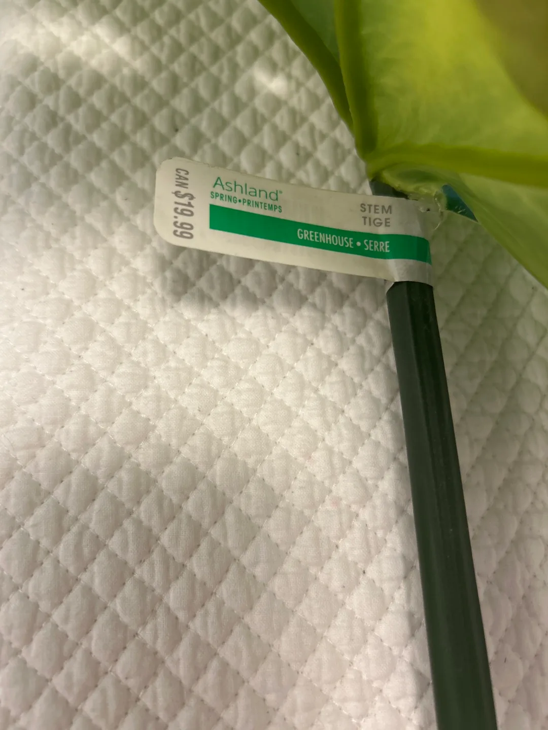 Ashland Artificial Monstera Leaves (2-pack) image indicator(2)