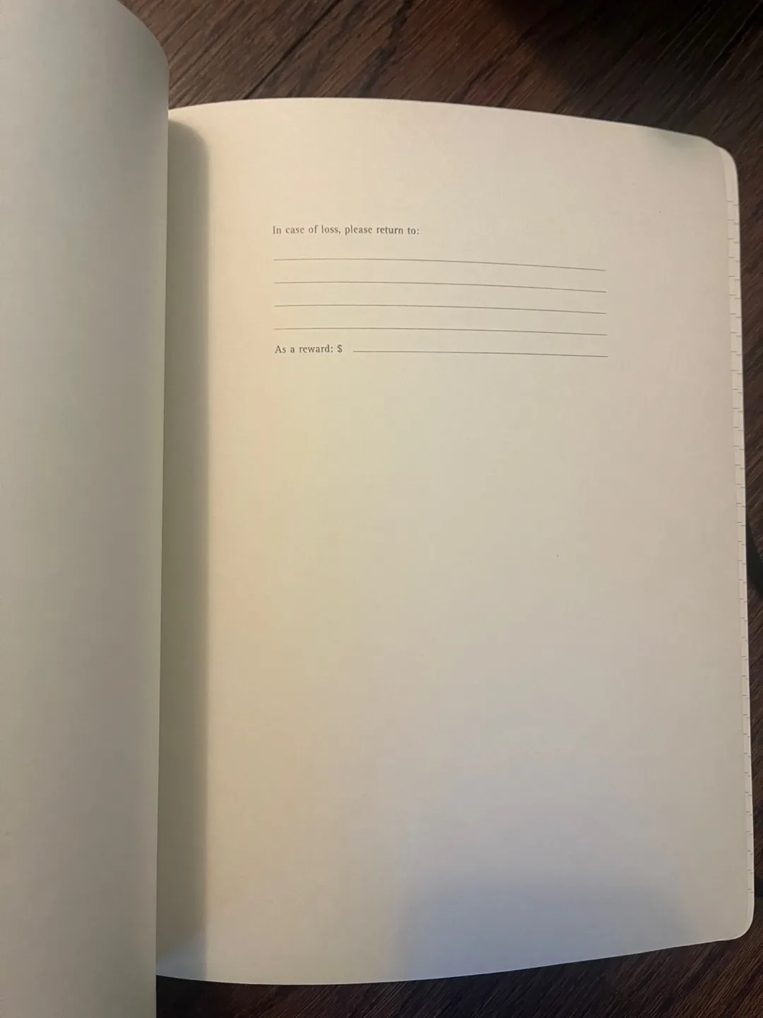 BNIB Moleskine XL Lined Notebook image indicator(3)