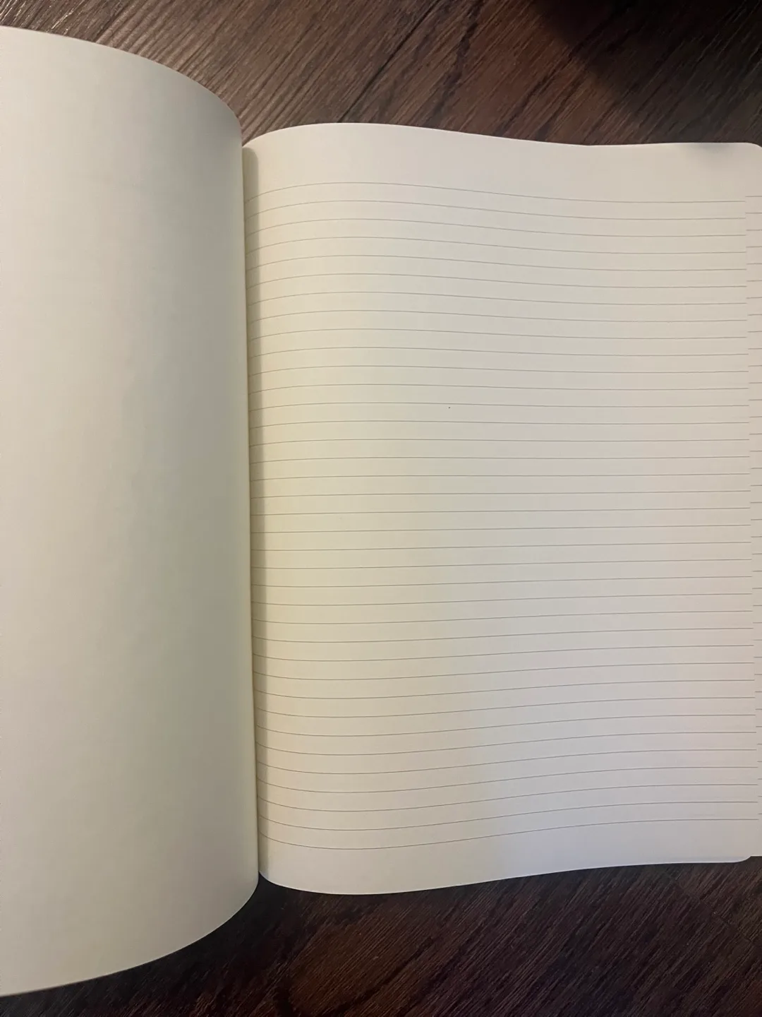 BNIB Moleskine XL Lined Notebook image indicator(4)