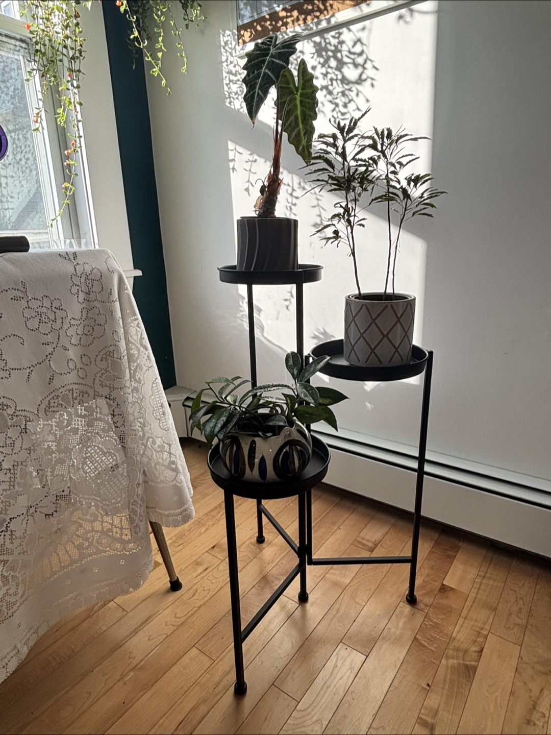 Three-Tier Black Metal Plant Stand - photo 2