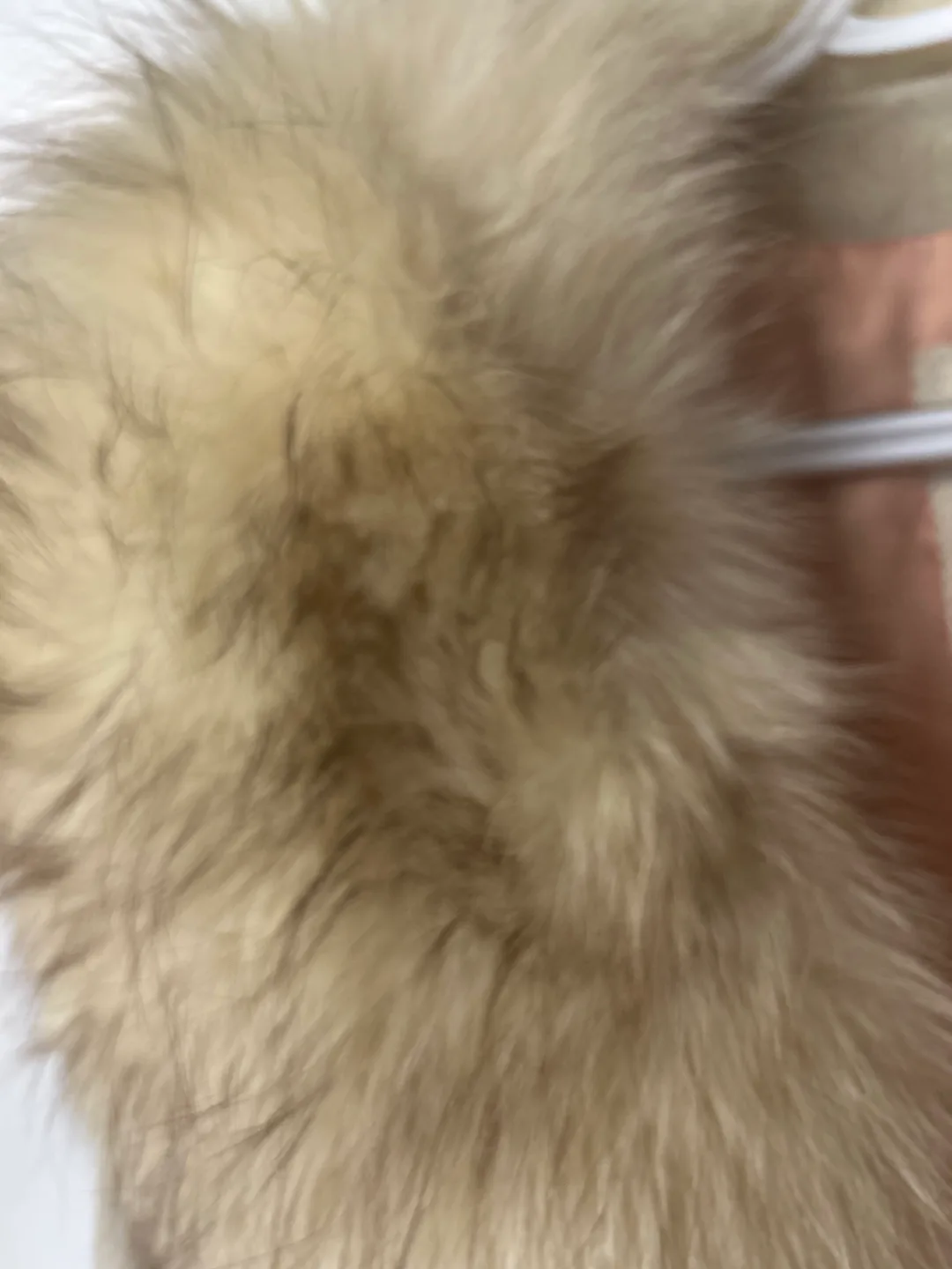 Vintage Lony G by Gropper Suede Coat with Faux Fur Collar image indicator(3)