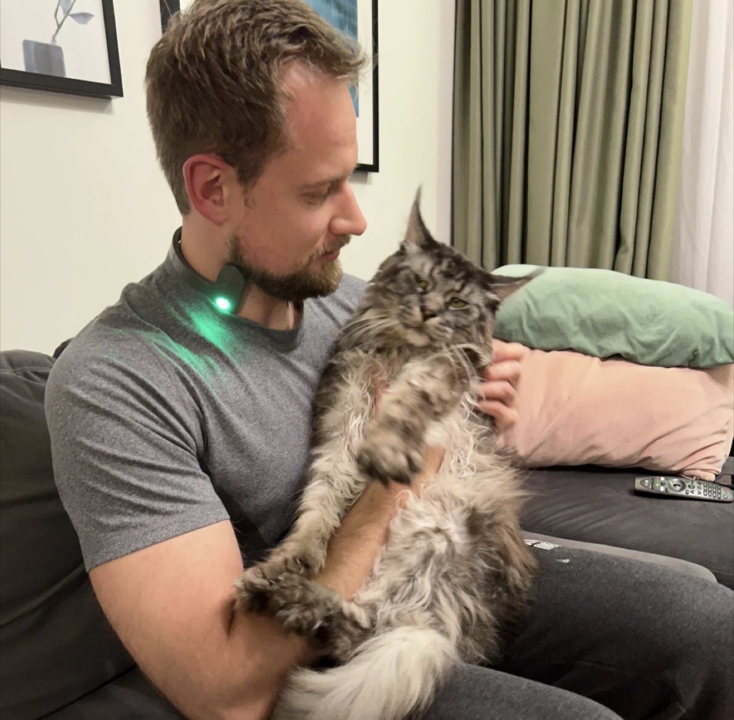 Pulsetto Vagus Nerve Stimulator - Brand New in Box - photo 5