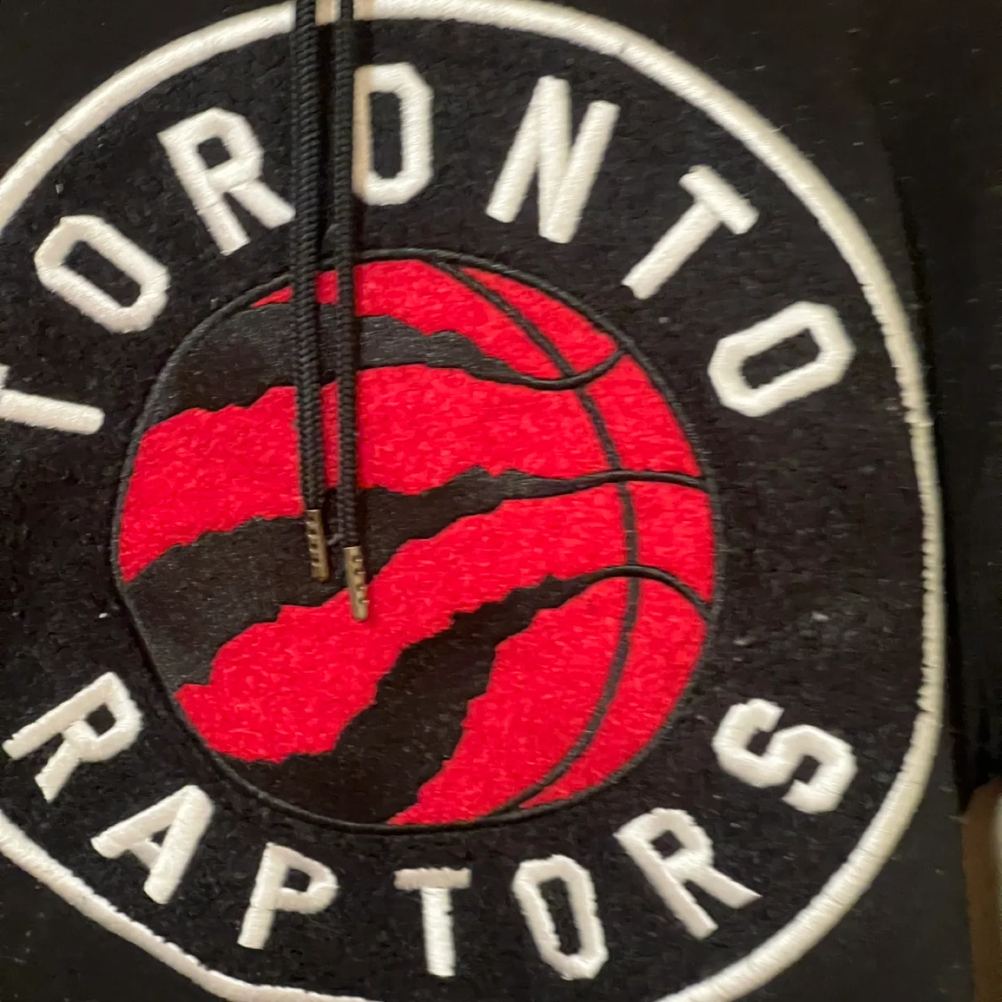 Toronto Raptors Official NBA Hoodie image indicator(2)