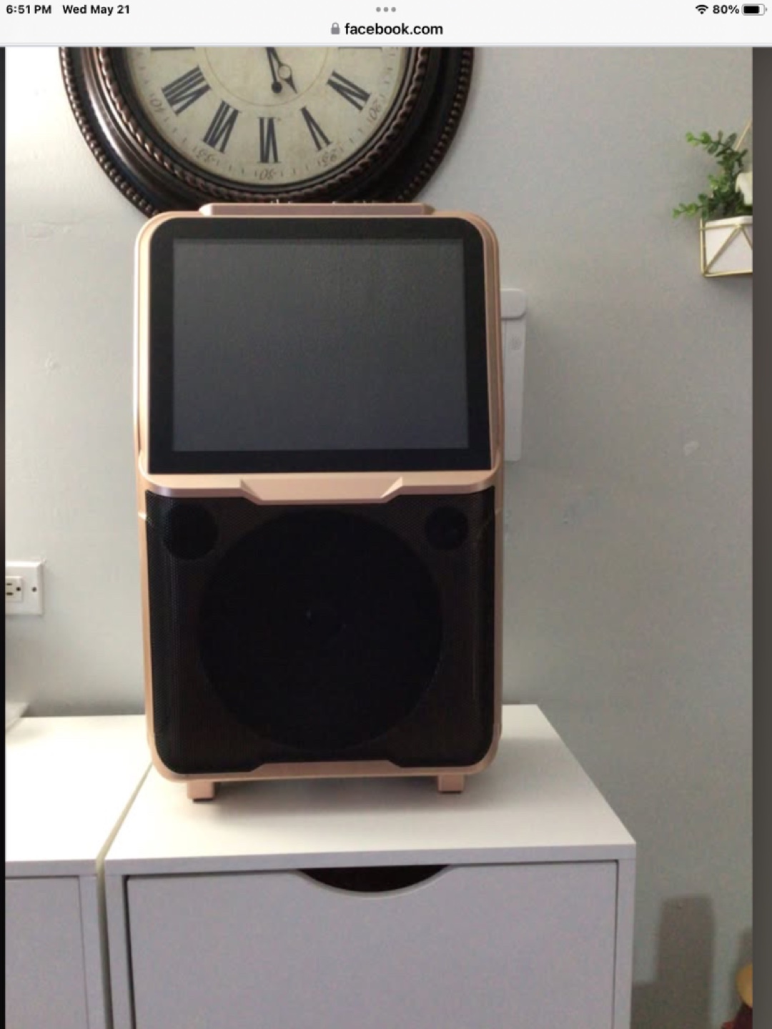 Portable Karaoke Machine with Screen
