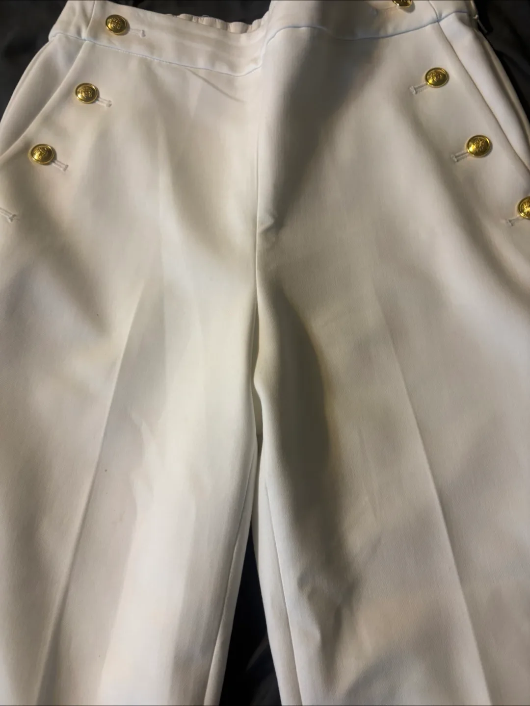 Aritzia Babaton Midas  pants image indicator(2)