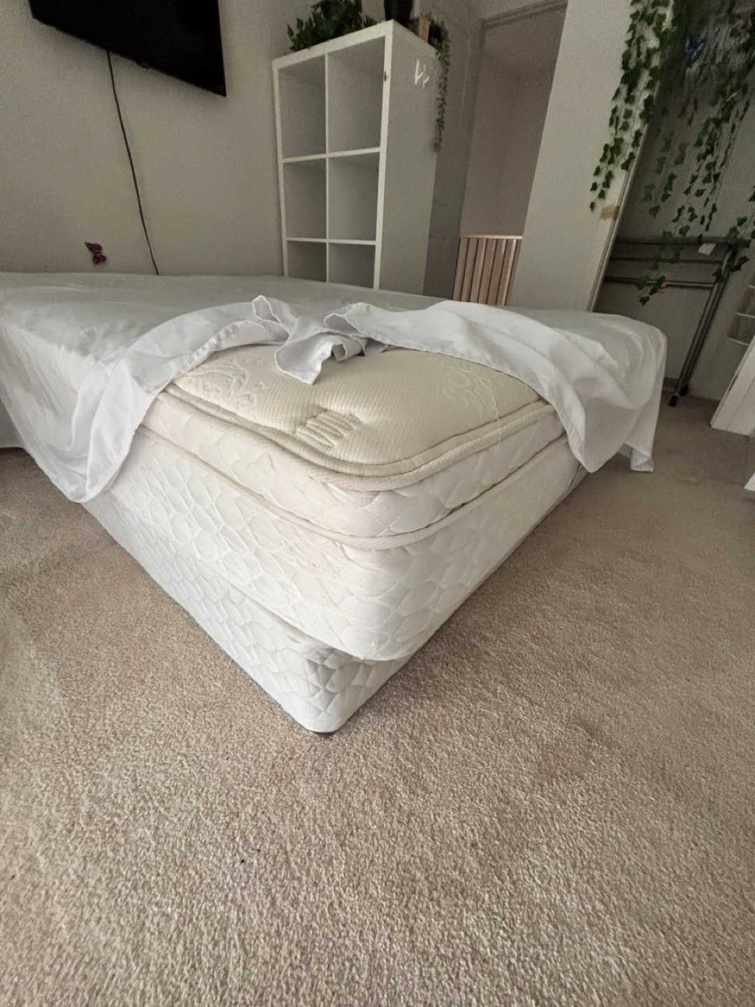 Queen Mattress and Box Spring Set