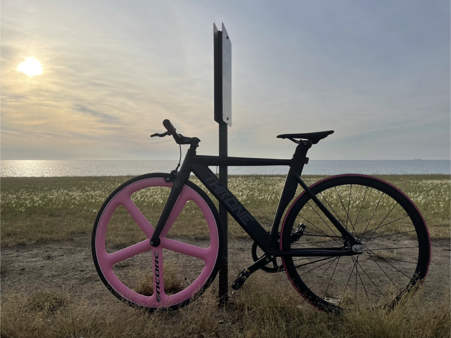 Trione Encore Track Bike - Pink & Black - photo 4