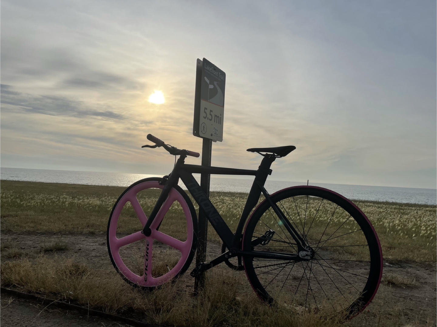 Trione Encore Track Bike - Pink & Black - photo 3