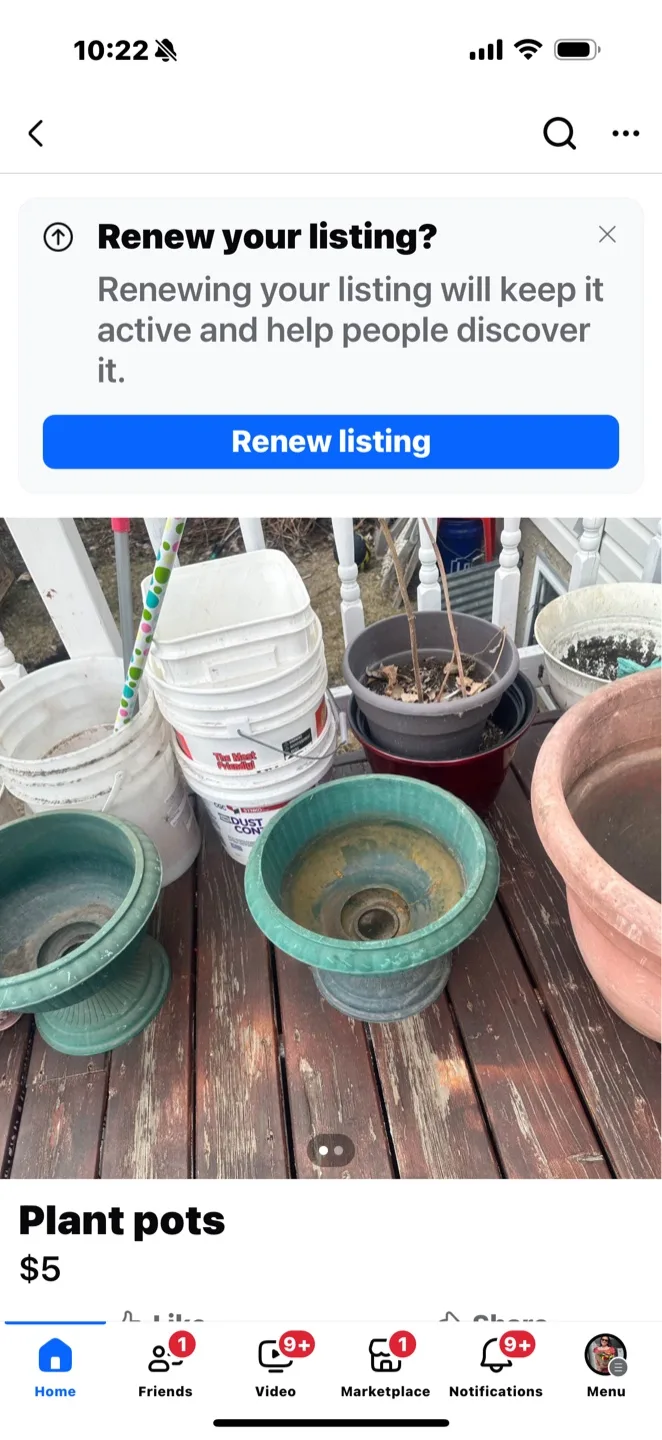 Green and white pots thumbnail