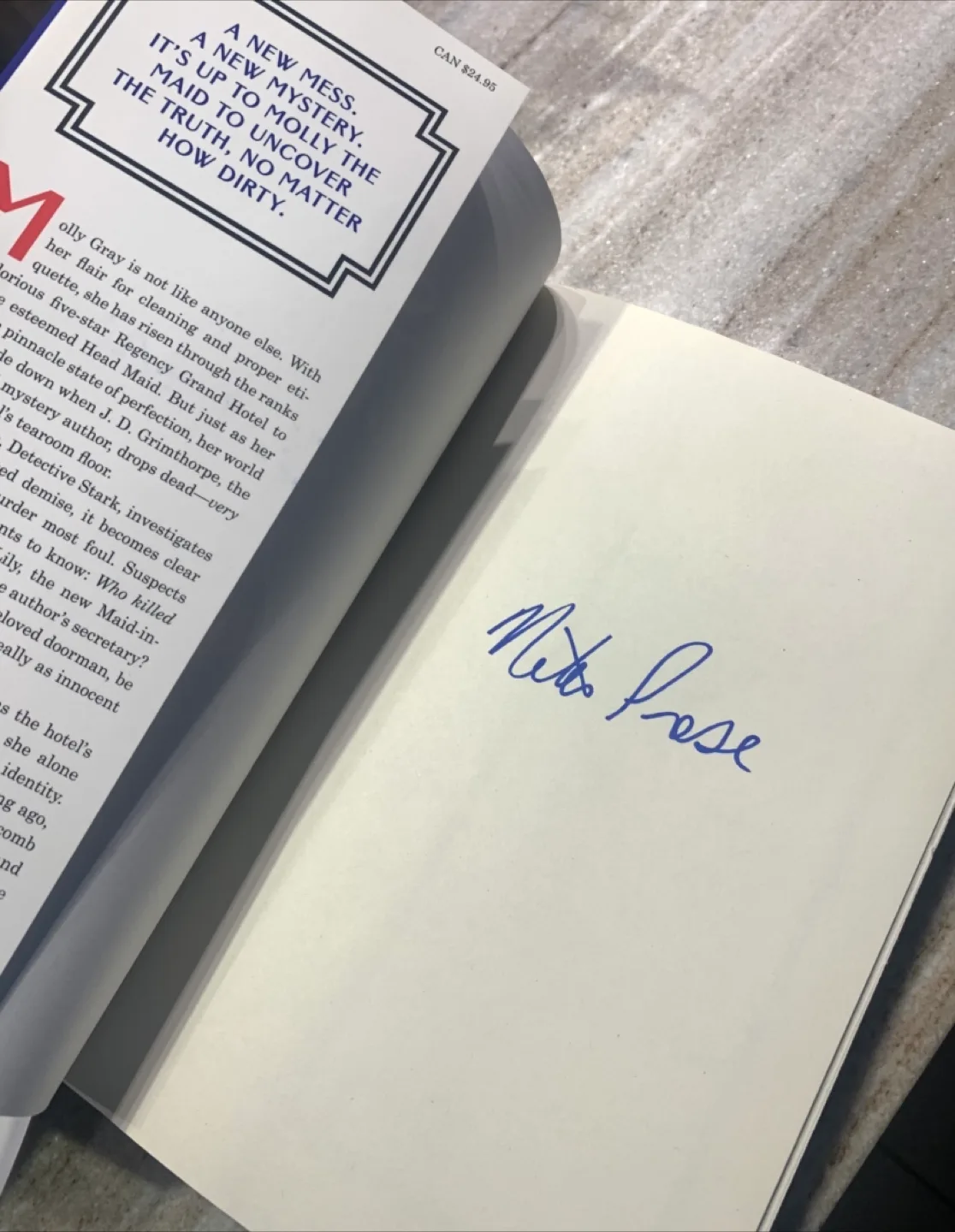 The Mystery Guest by Nita Prose image indicator(5)