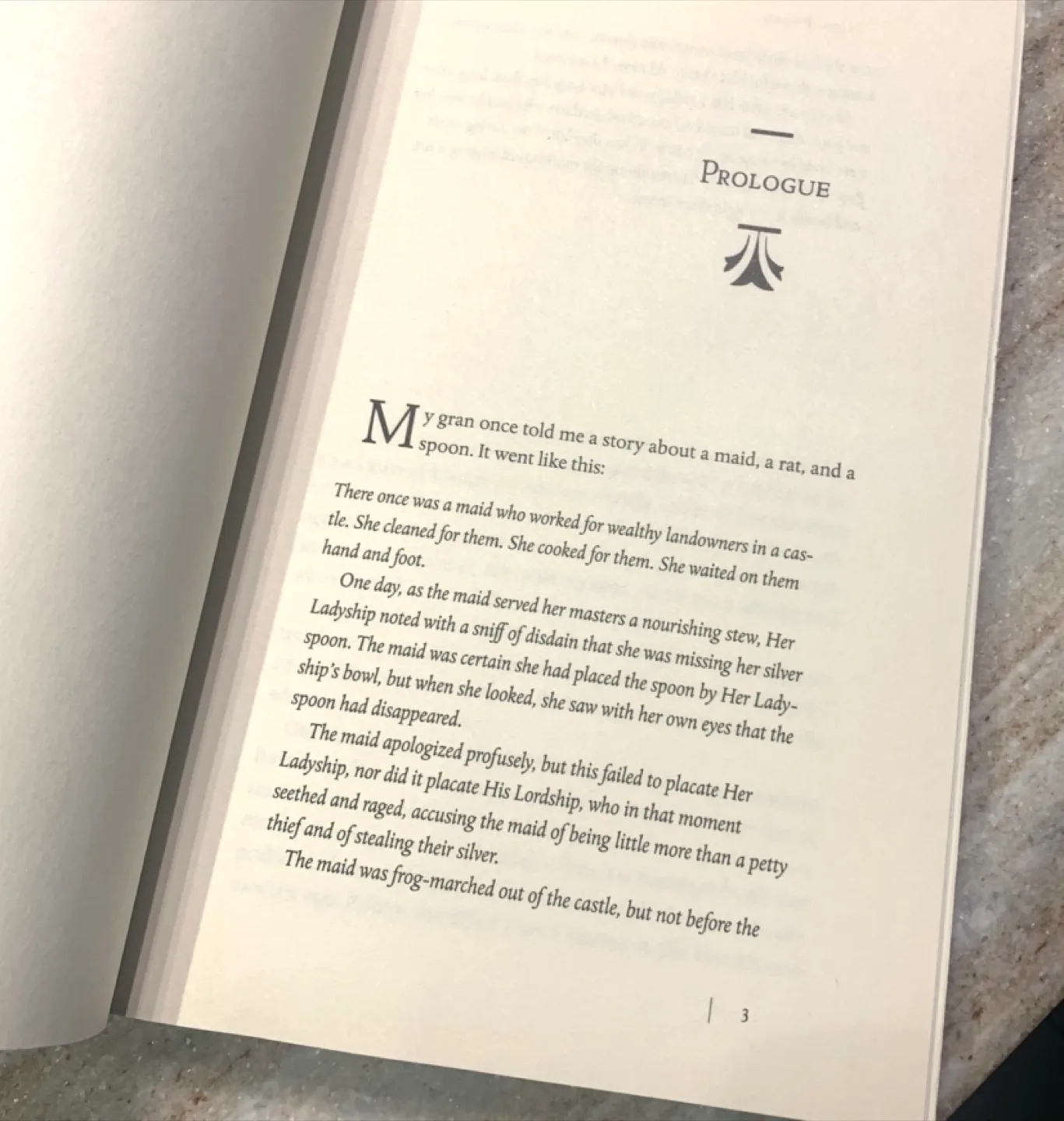 The Mystery Guest by Nita Prose image indicator(6)