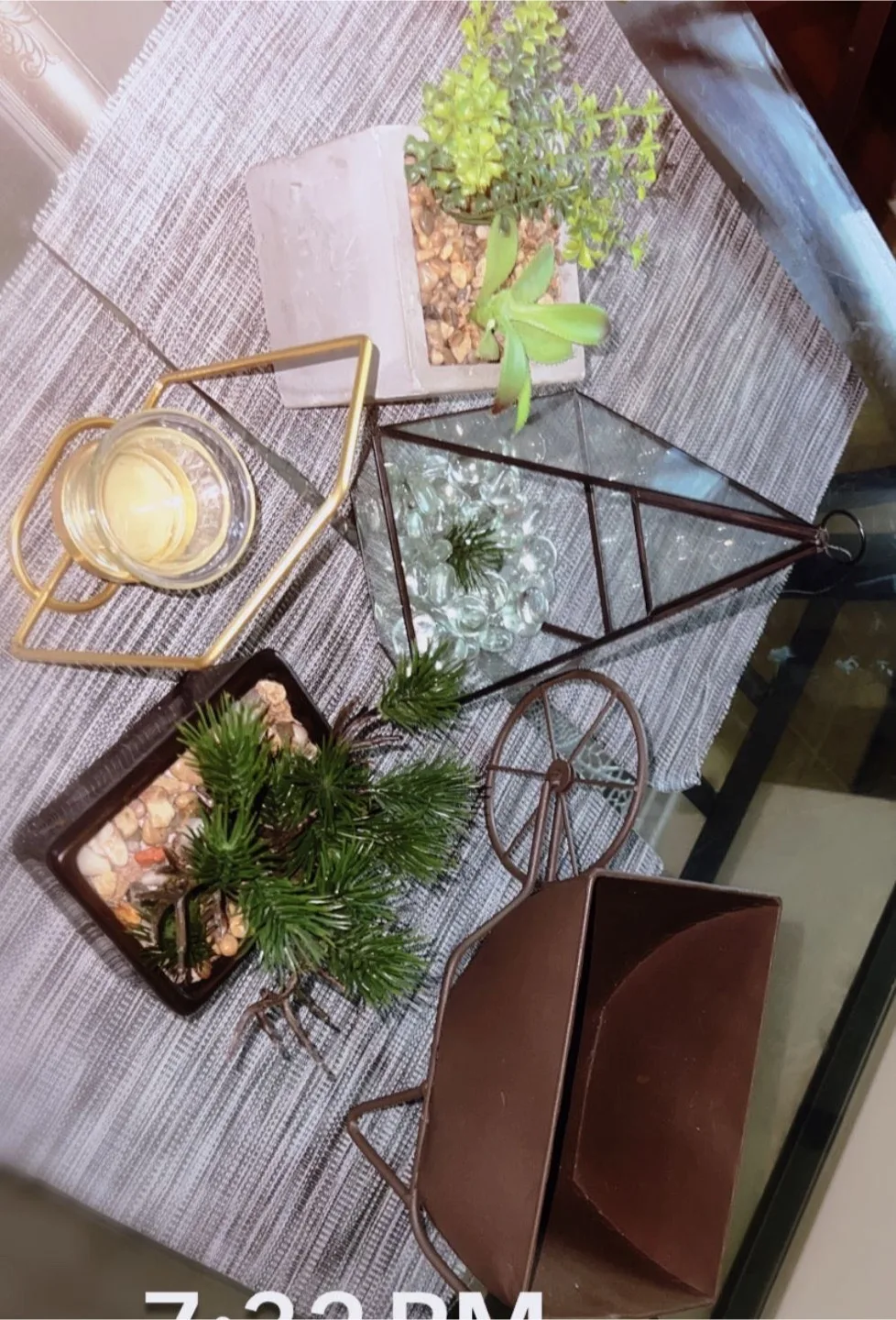 Decorative Planters and Geometric Terrarium thumbnail