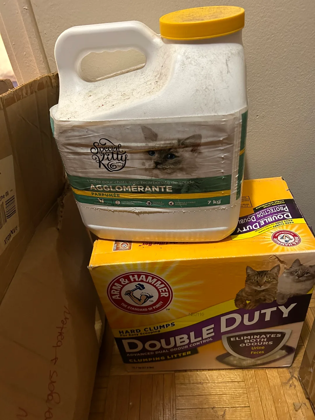 Special Kitty and Arm & Hammer Clumping Cat Litter thumbnail