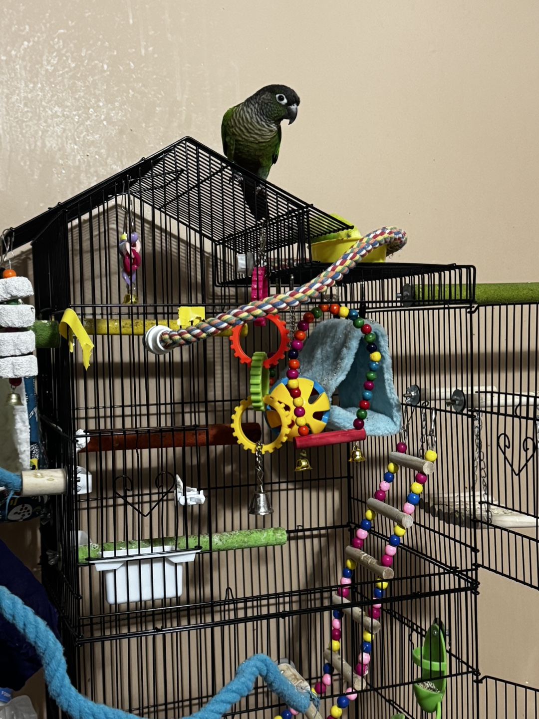Large Parrot Play Stand and Cage - photo 2