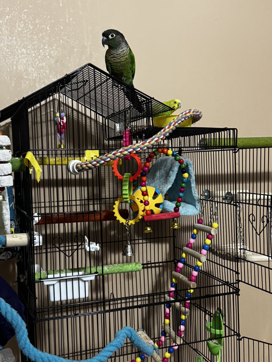 Large Parrot Play Stand and Cage - photo 3