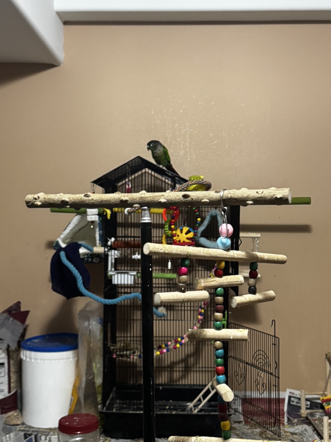 Large Parrot Play Stand and Cage - photo 5