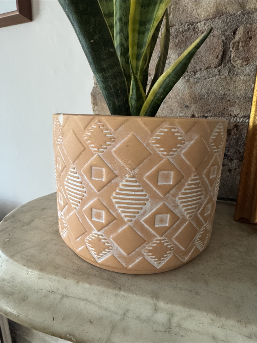 Snake Plant in Decorative Pot - photo 4