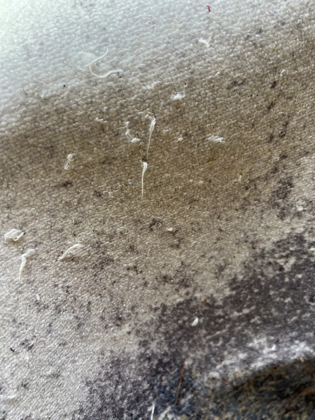 Large Area Rug - 180cm*260cm image indicator(5)