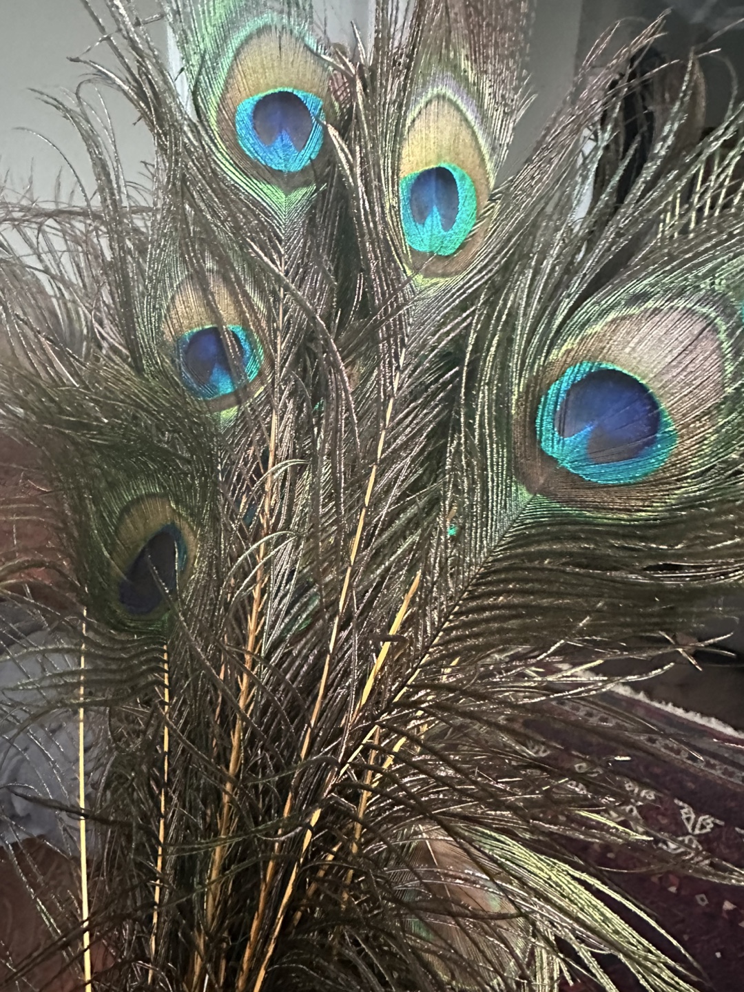 Peacock Feathers - photo 2