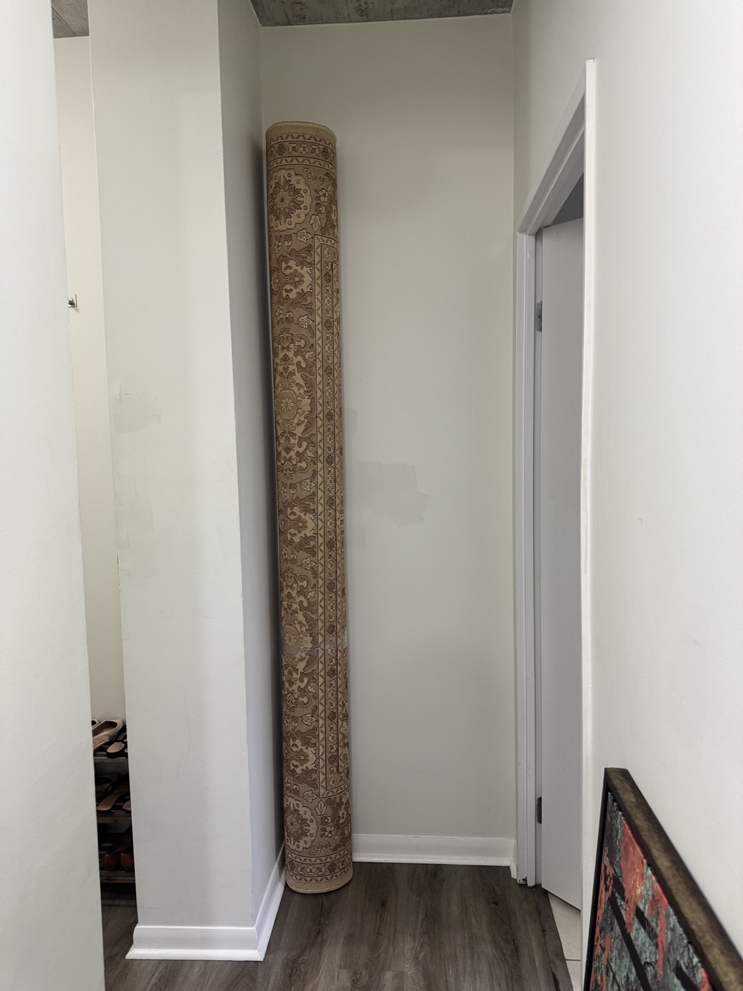 Cream and Beige Area Rug/Carpet, 235x320 cm - photo 3