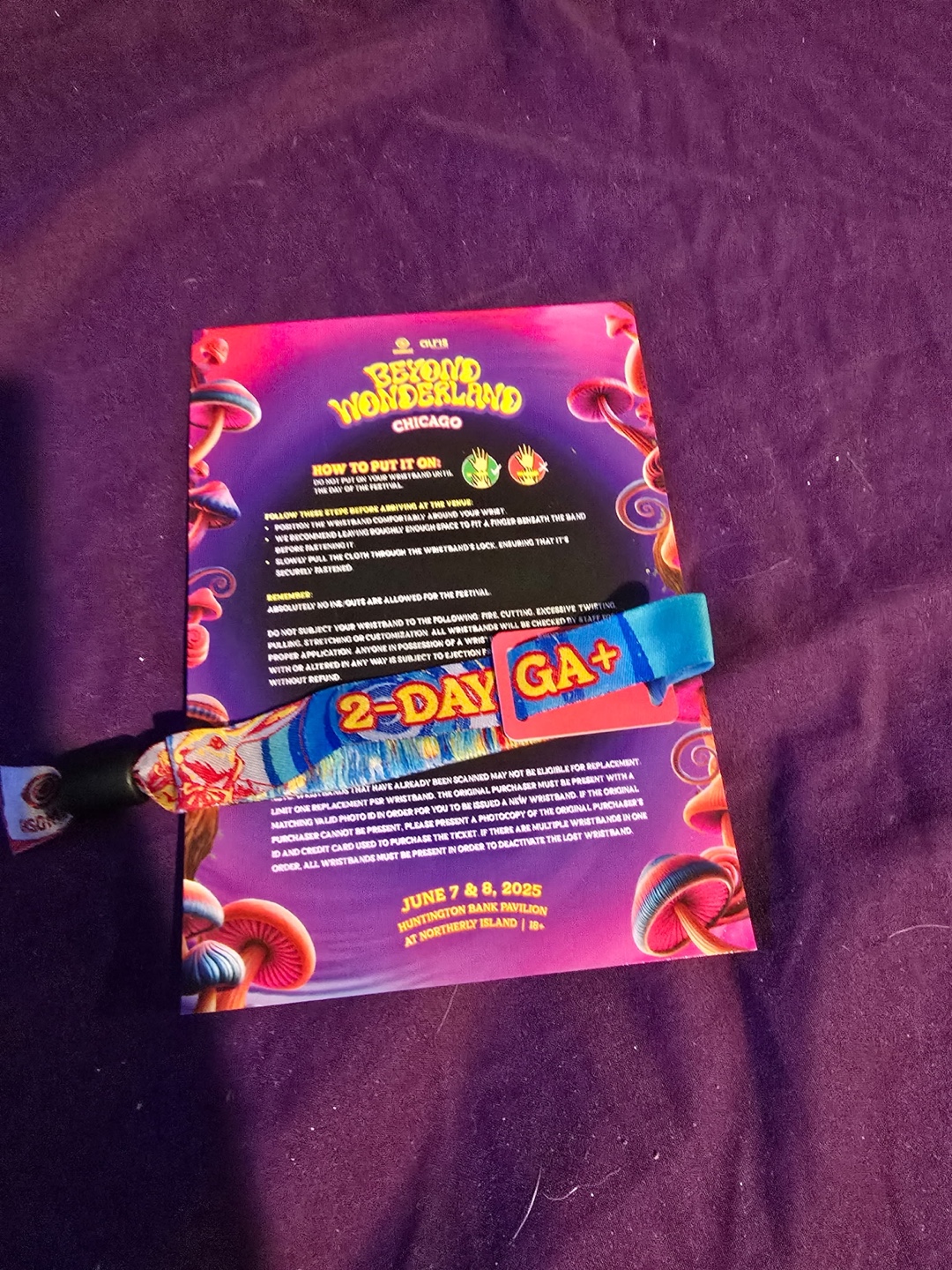 Beyond Wonderland Chicago 2025 GA+ Wristband