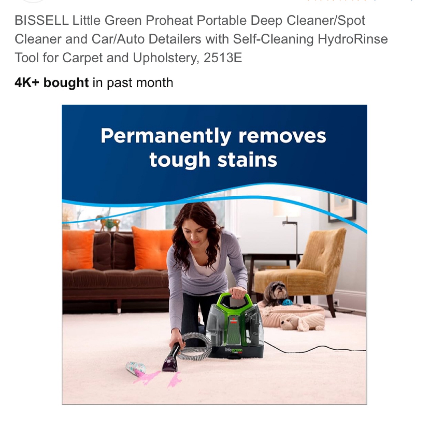 BISSELL Little Green ProHeat Portable Deep Cleaner - photo 2