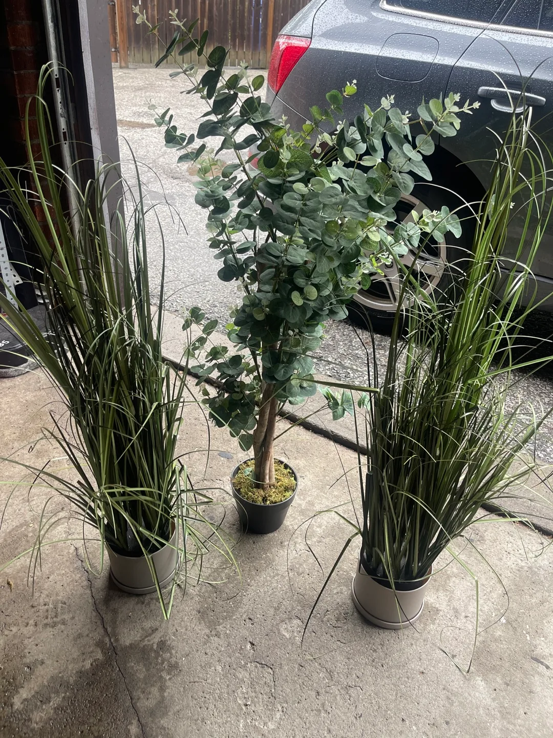 Three Artificial Plants thumbnail