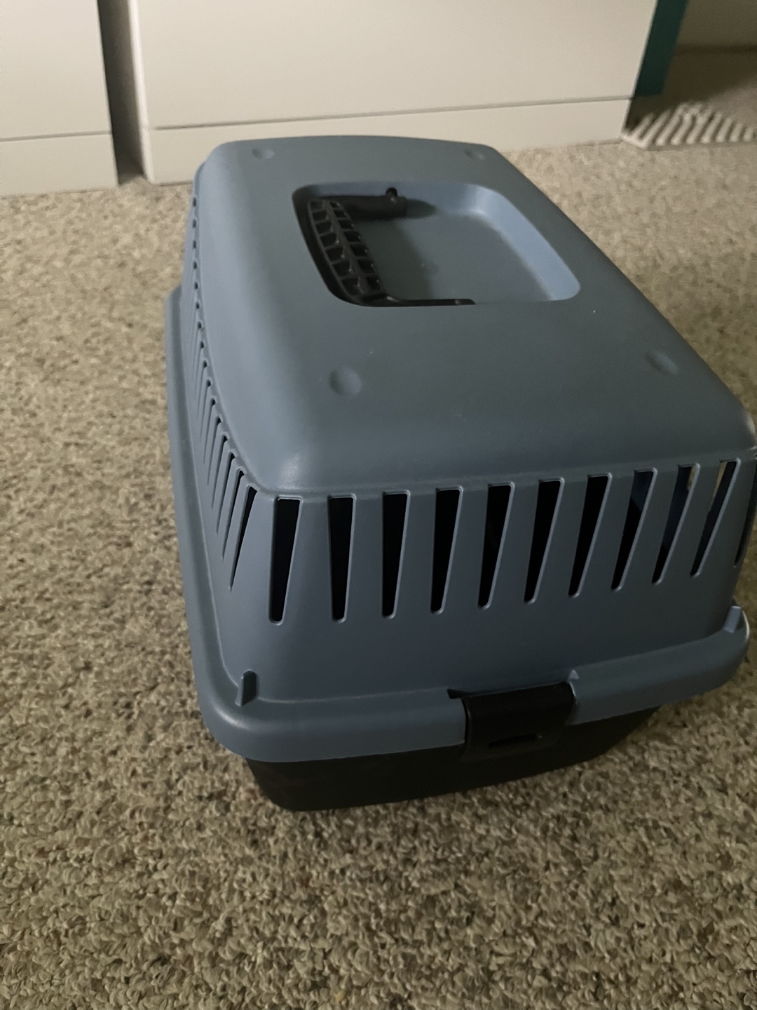 Small Pet Carrier - Plastic Travel Crate - photo 5