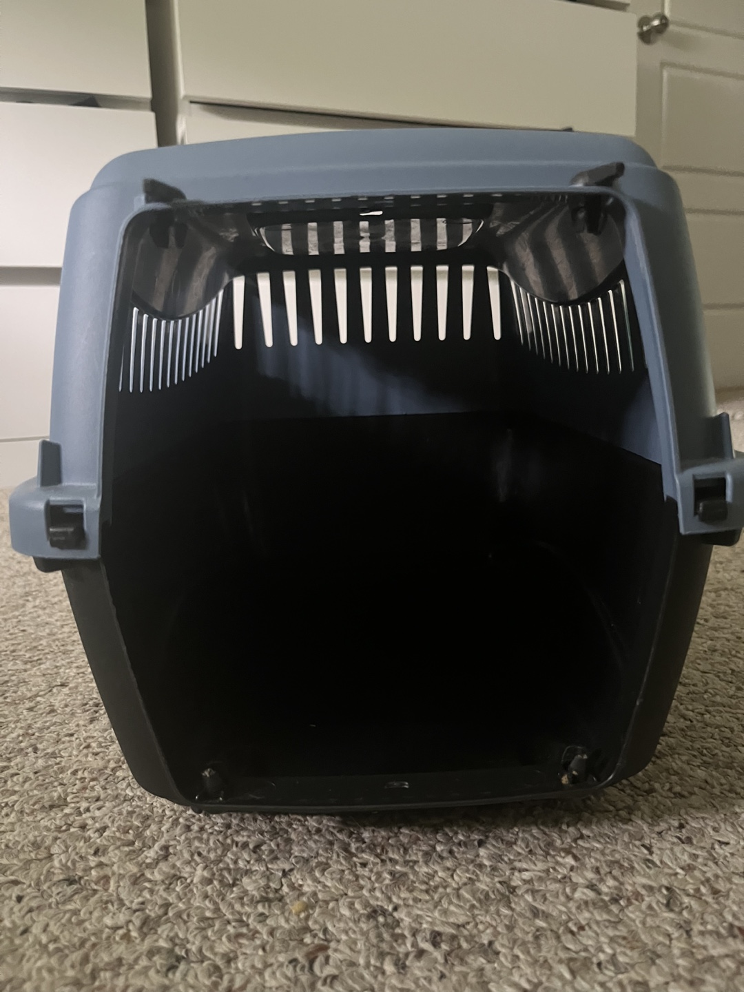 Small Pet Carrier - Plastic Travel Crate - photo 2