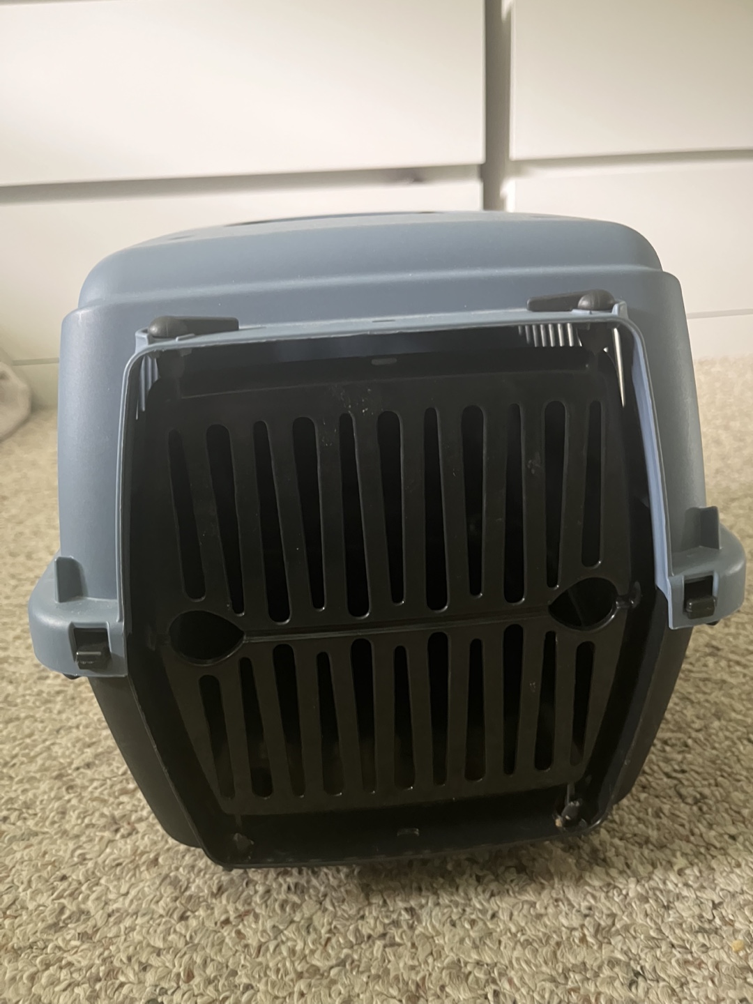 Small Pet Carrier - Plastic Travel Crate