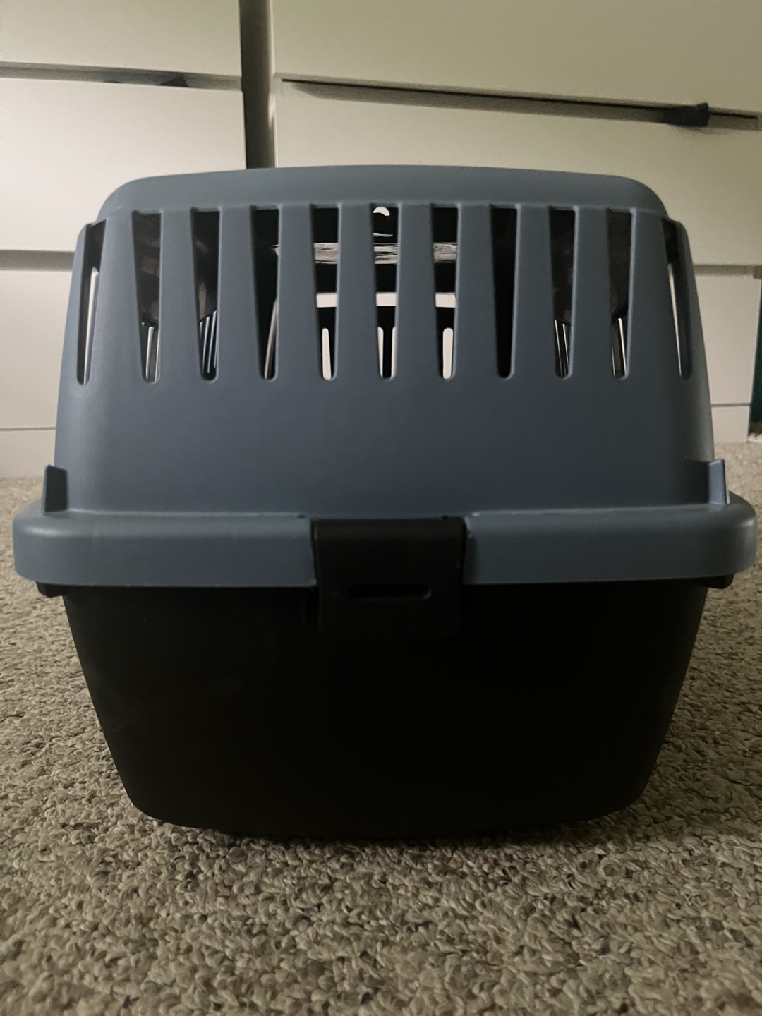 Small Pet Carrier - Plastic Travel Crate - photo 4