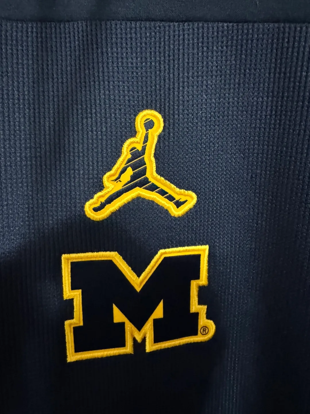 Jordan Michigan Wolverines Dri-Fit Hoodie image indicator(2)