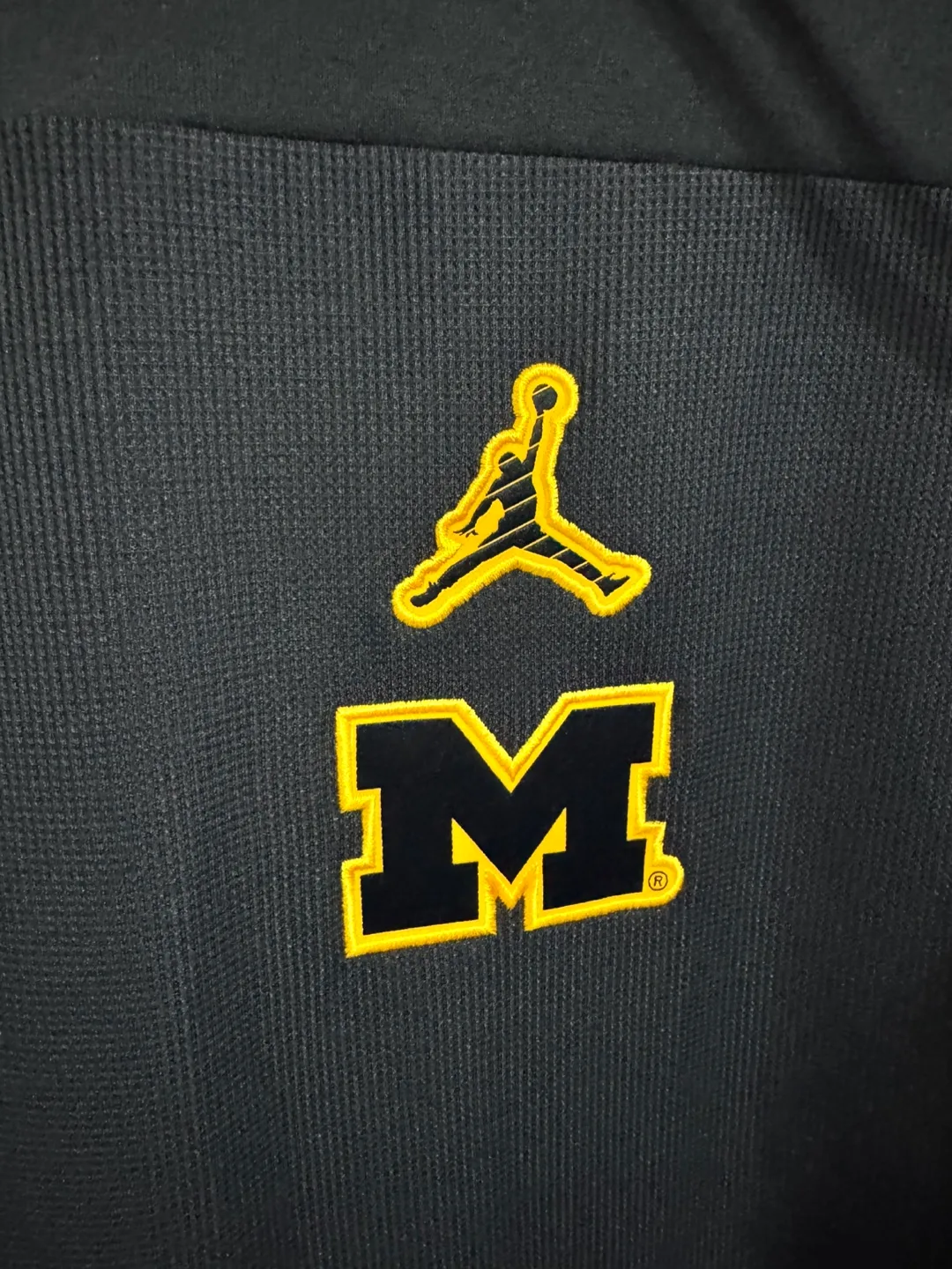 Jordan Michigan Wolverines Dri-Fit Hoodie image indicator(7)