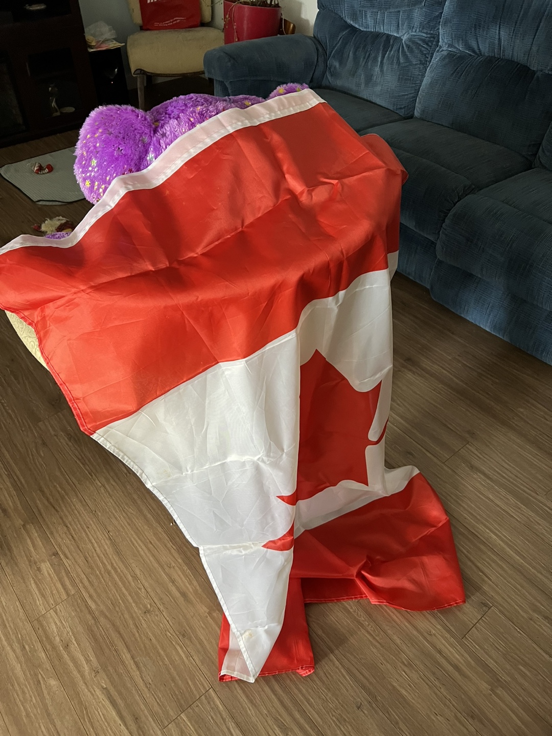 Canadian Flag