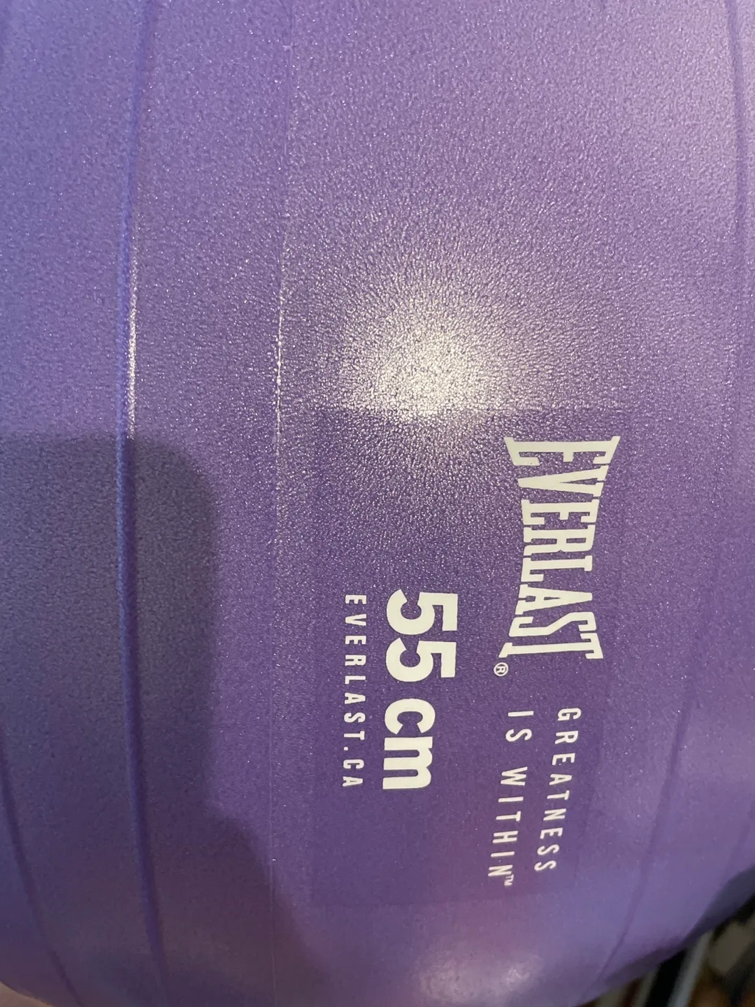 Brand New Everlast Anti-Burst Weighted Stability Ball Yoga ball image indicator(2)