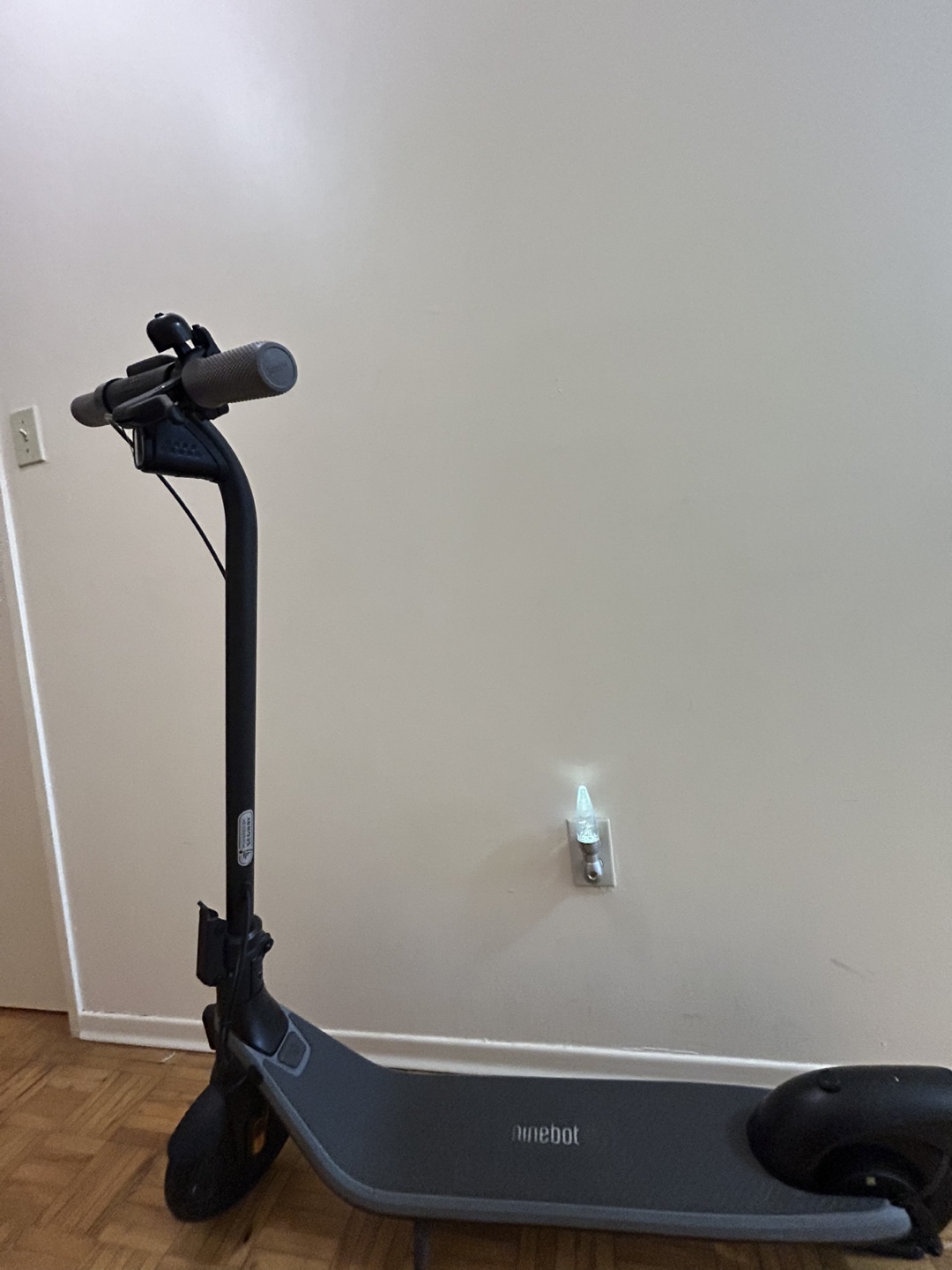 Ninebot  Electric Scooter