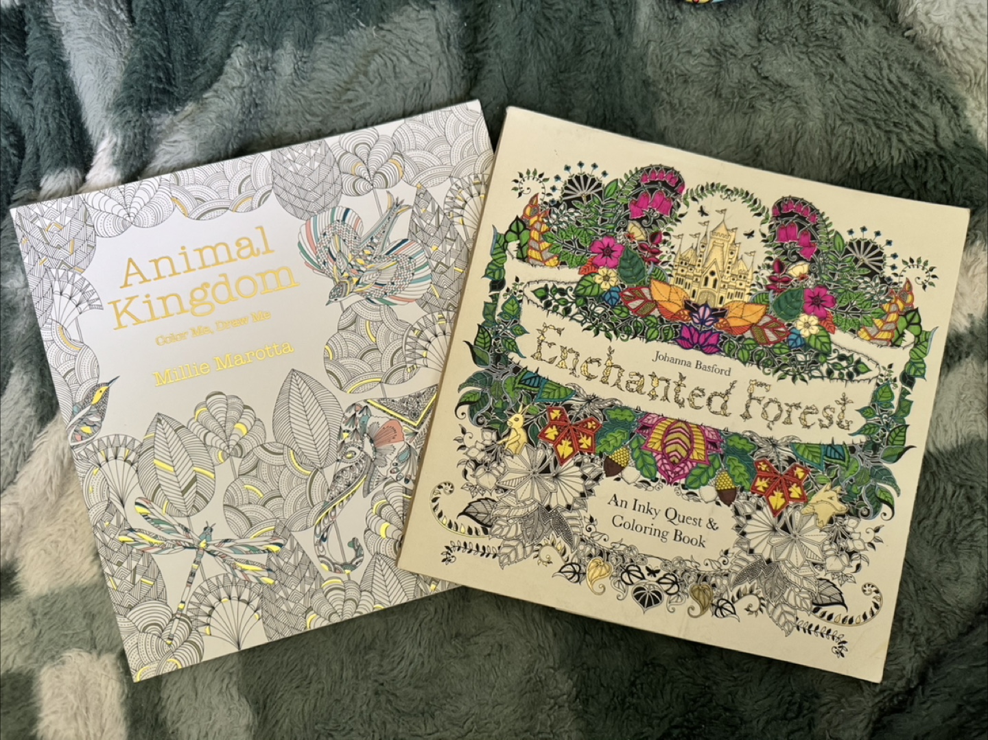 #freecycle Two Adult Colouring Books