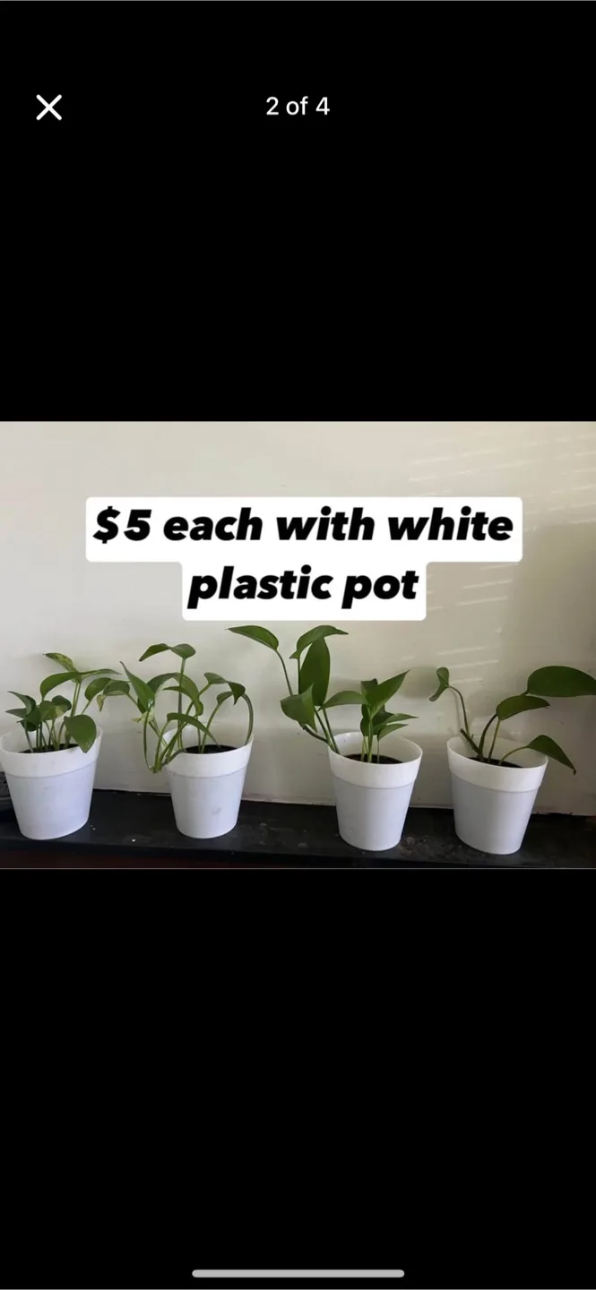 comment article thumbnail
